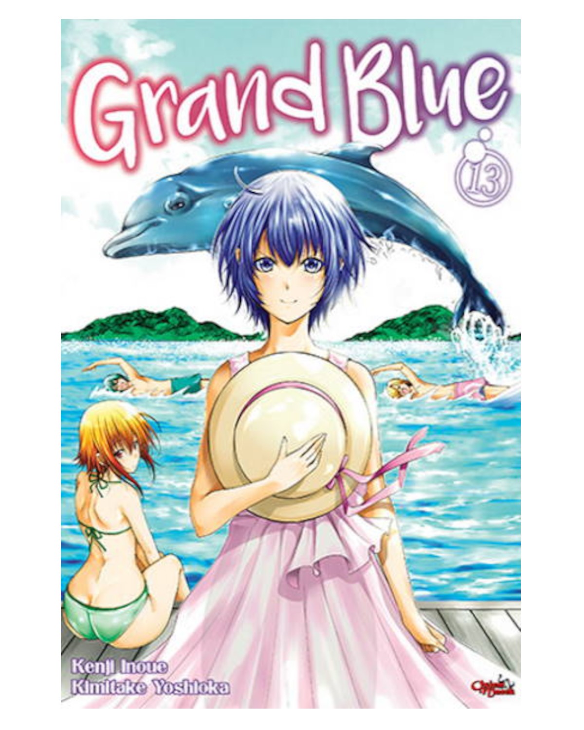 Grand Blue - tom 13 — okładka mangi