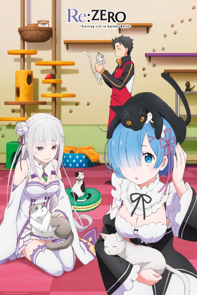 Duży plakat - Re:Zero