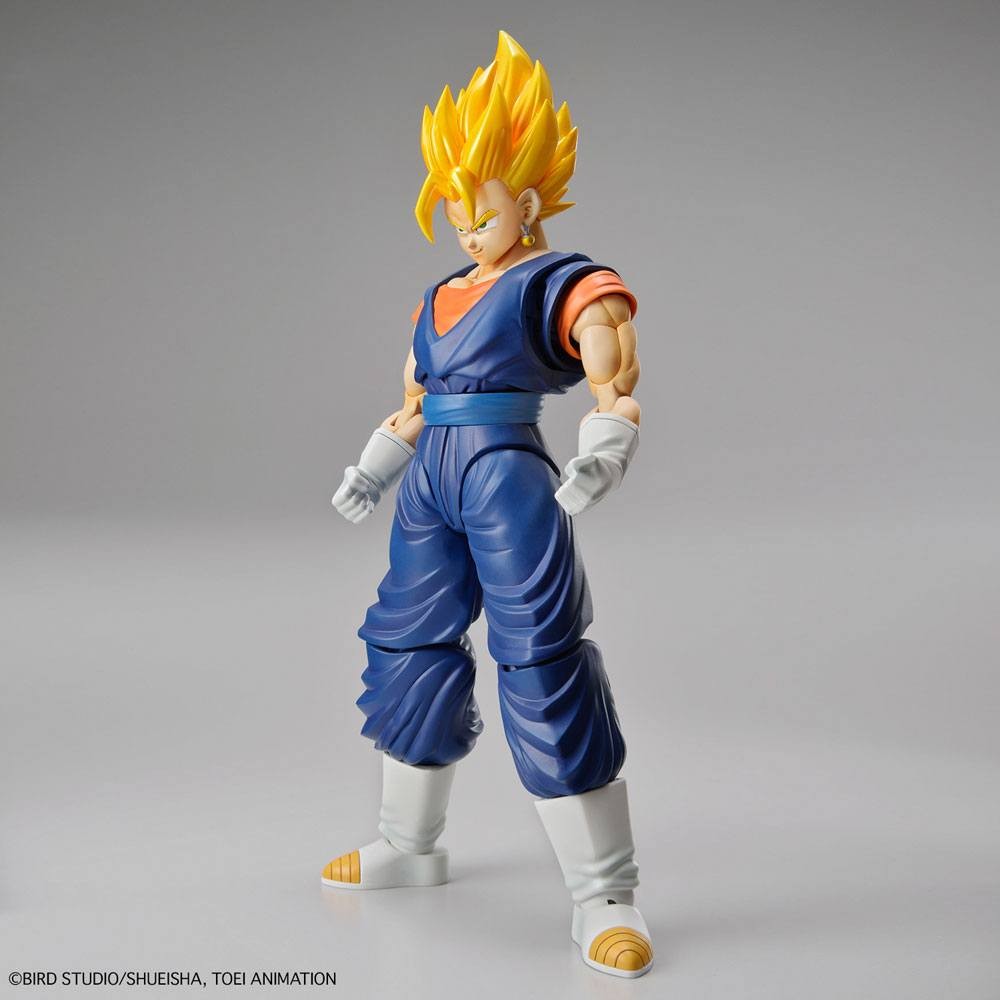 Model do składania - Vegetto