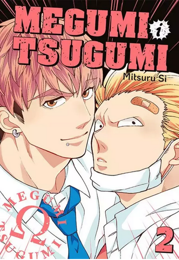 Megumi i Tsugumi - tom 2 — okładka mangi