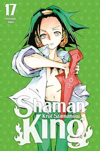 Okładka mangi (Studio JG) Shaman King - tom 17