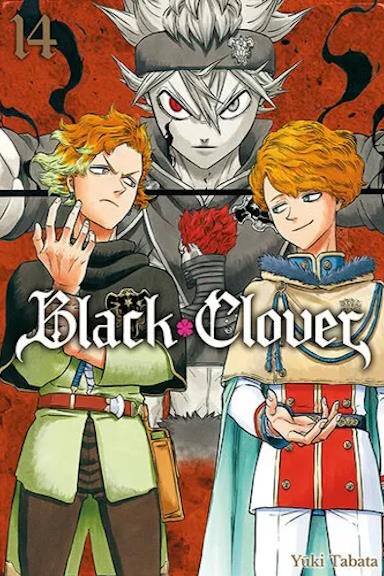 Black Clover - tom 14 — okładka mangi