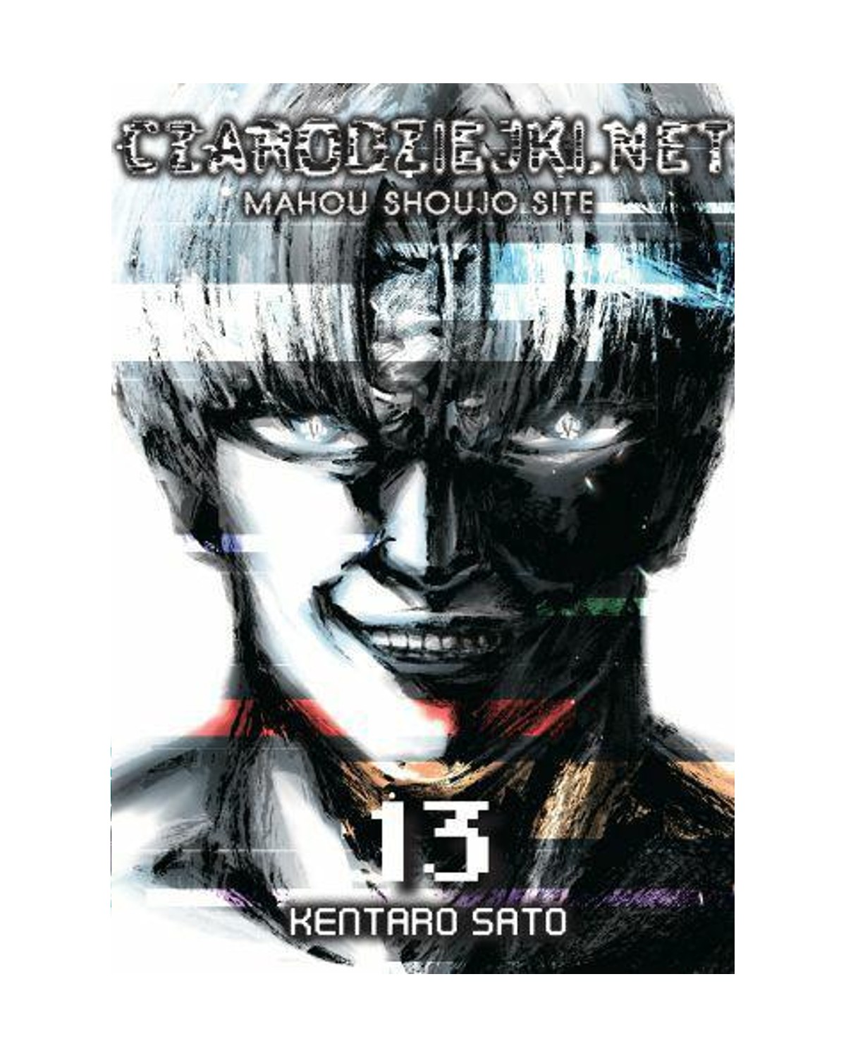 Czarodziejki.net - Tom 13