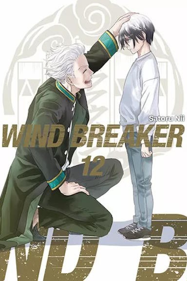 Wind Breaker - tom 12 — okładka mangi