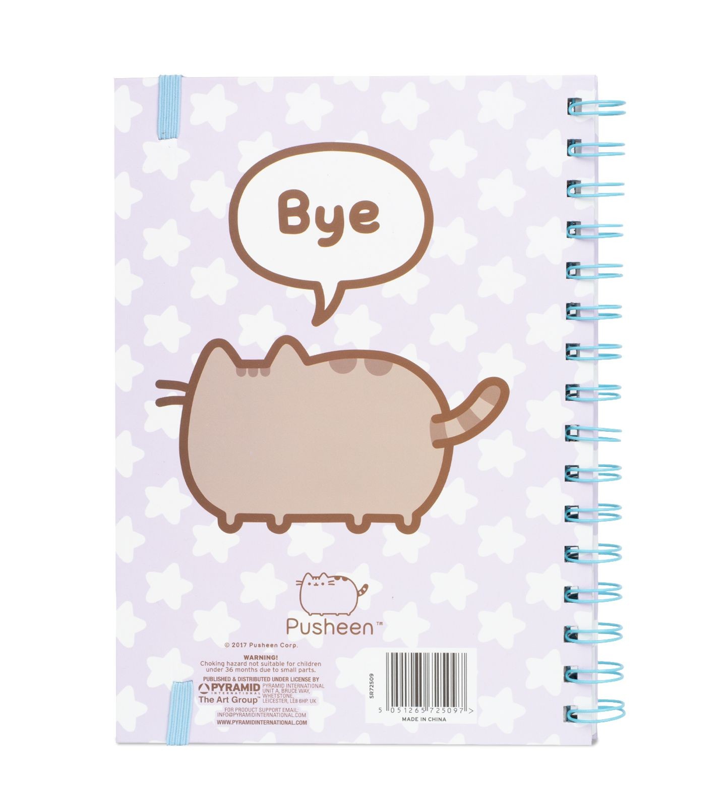 Pusheen - Notes v2