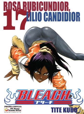 Okładka mangi (JPF) Manga Bleach - Tom 17