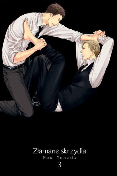 Okładka mangi (Kotori) Złamane skrzydła - tom 3