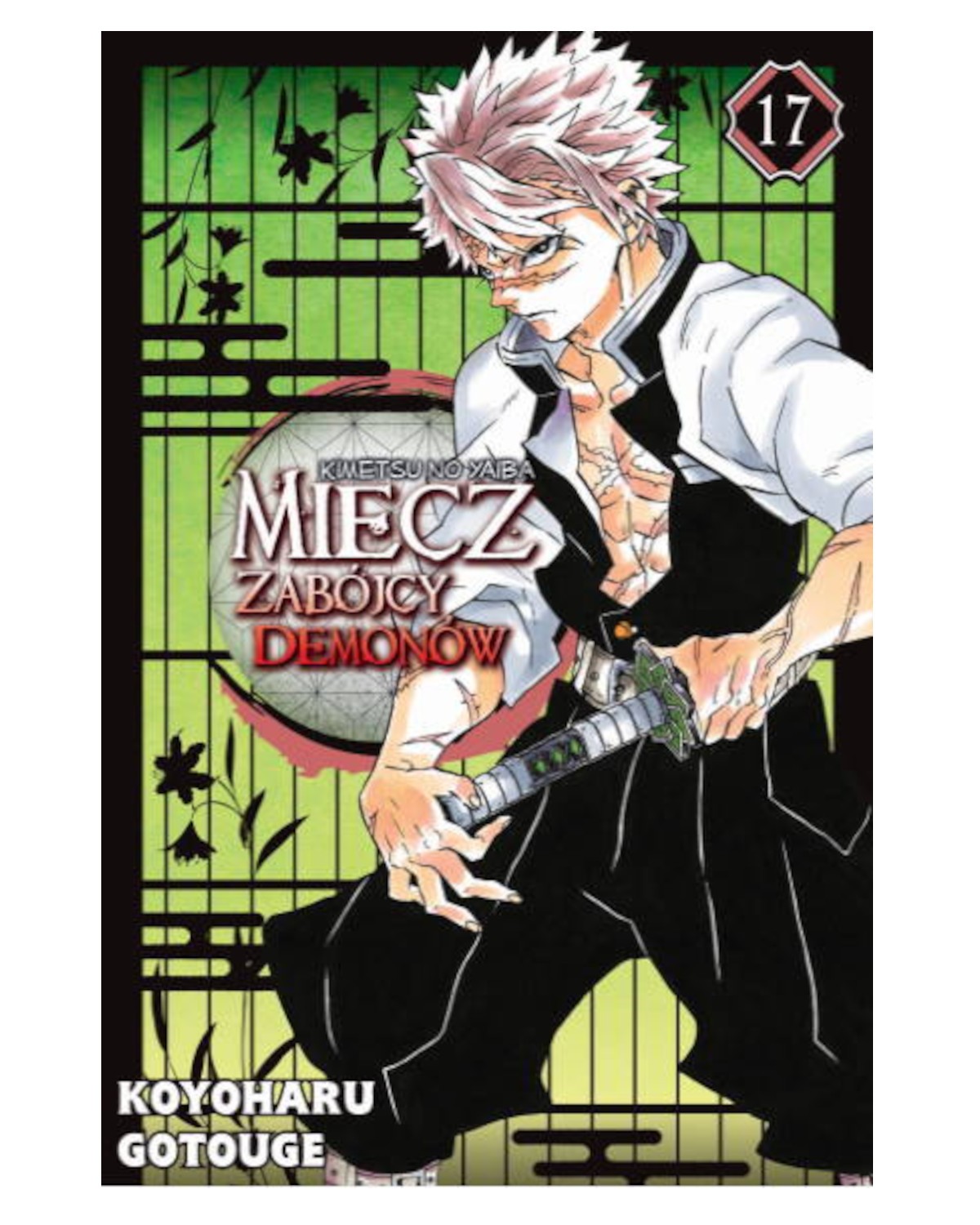 Miecz Zabójcy Demonów - tom 17 — okładka mangi