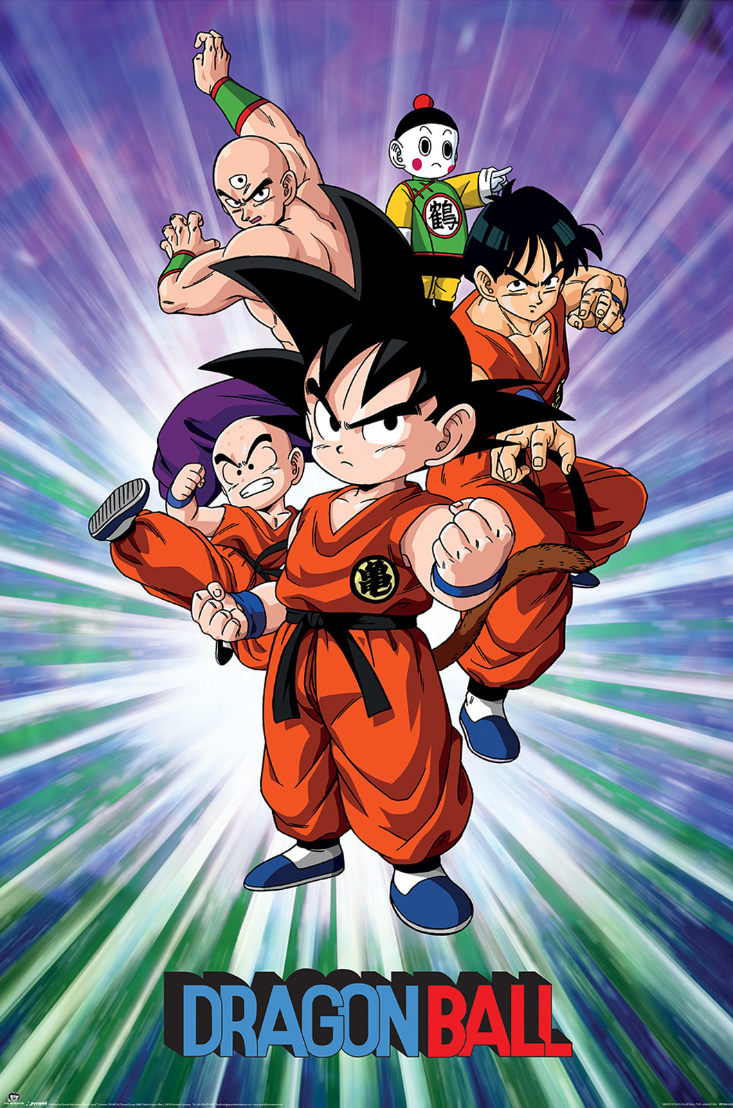 Plakat - Dragon Ball Group (PP2501612)
