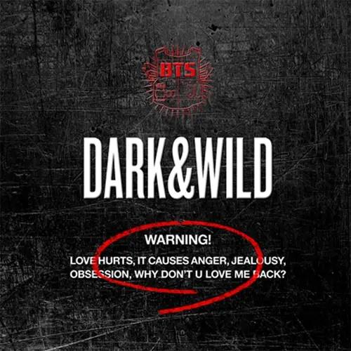 BTS – VOL.1 [DARK & WILD]