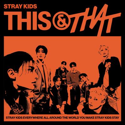 Jak nazywa się najnowszy album Stray Kids w 2026? Wszystko o potędze „THIS & THAT”