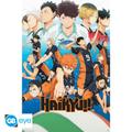 Plakat - Haikyu!! (GBYDCO506)