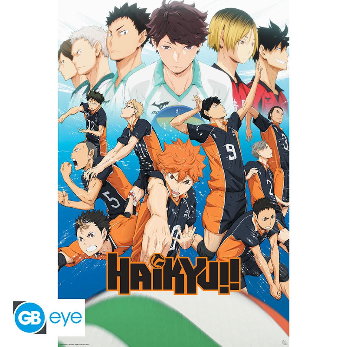 Plakat - Haikyu!! (GBYDCO506)