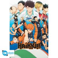 Plakat - Haikyu!! (GBYDCO506)