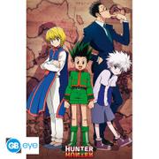 Plakat - Hunter x Hunter (ABYDCO804)