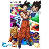 Plakat - Panels/Dragon Ball Super (FP4916)