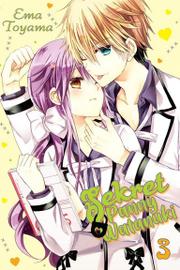 Sekret Panny Watanuki - Tom 3
