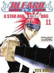 Manga Bleach - Tom 11