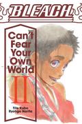 Okładka Bleach: Can't Fear Your Own World - Light Novel - tom 2 (eng.)