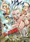 Okładka Dr. Stone - Tom 12