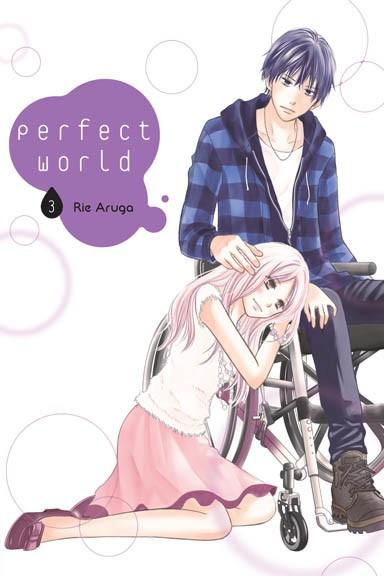 Okładka Perfect World - Tom 3