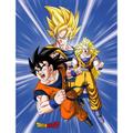 Koc polarowy - Dragon Ball