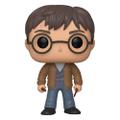Figurka POP! - Harry Potter 118 Special Edition