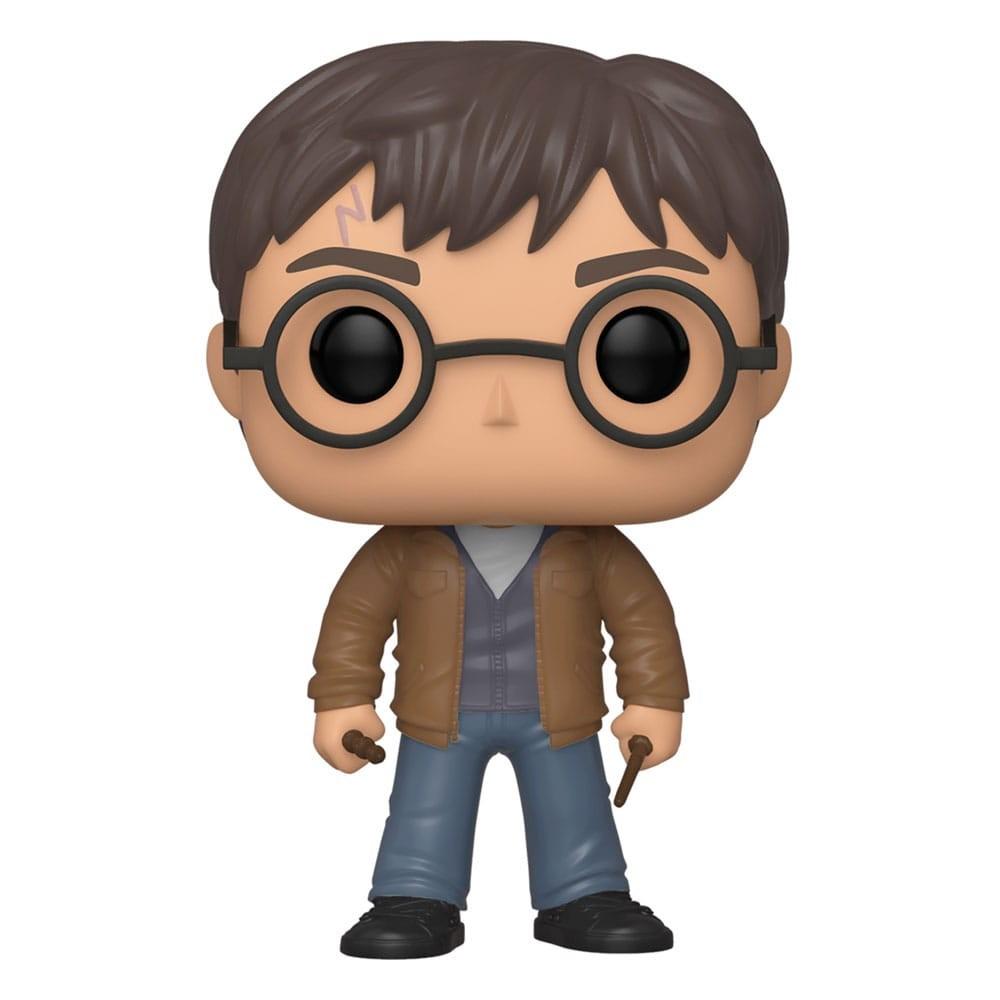Figurka POP! - Harry Potter 118 Special Edition