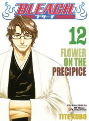 Manga Bleach - Tom 12