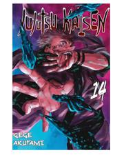 Jujutsu Kaisen - tom 14