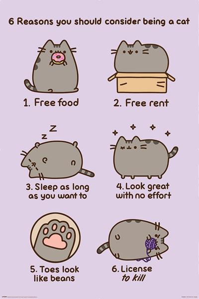 Duży plakat - Pusheen