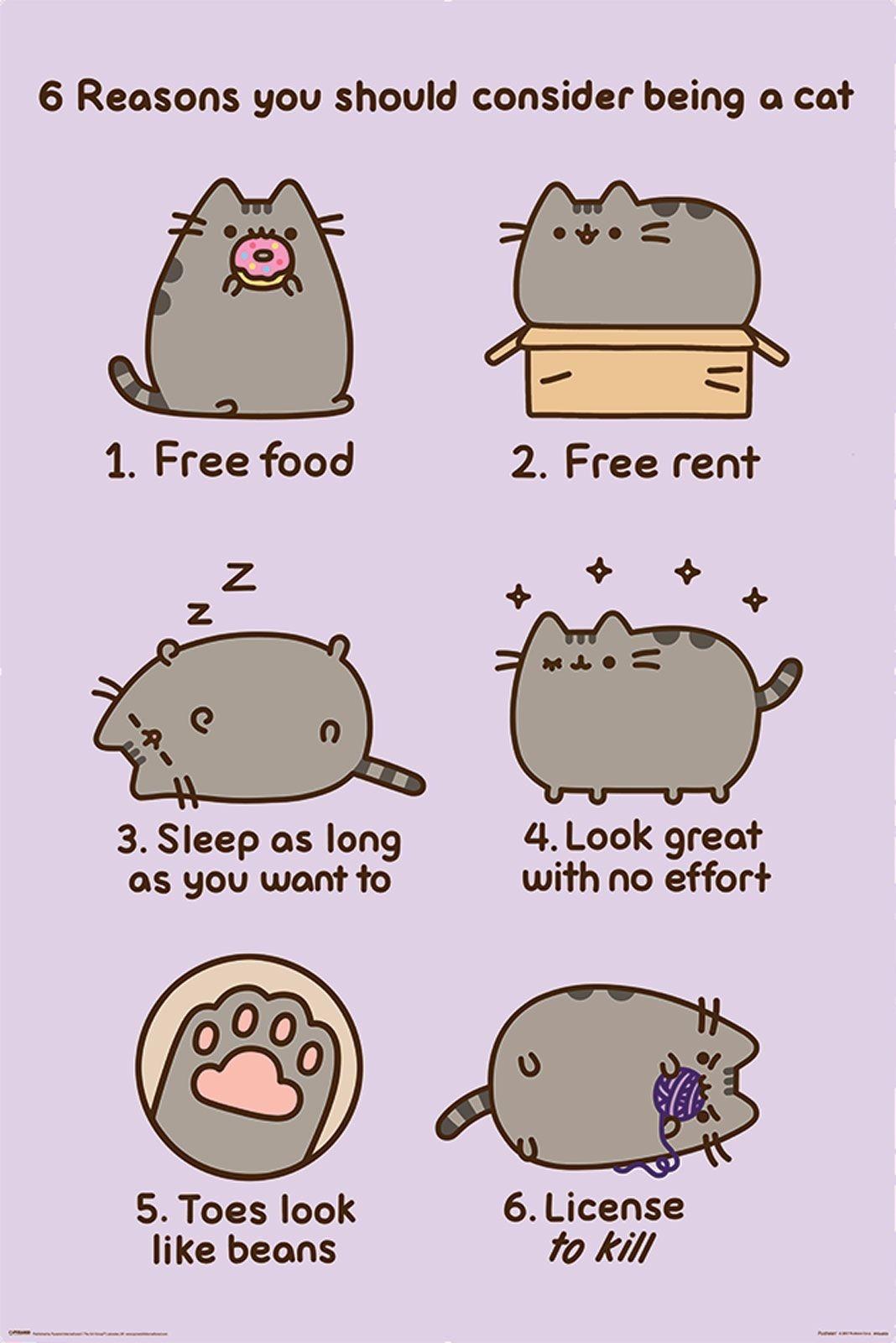 Duży plakat - Pusheen
