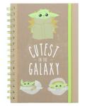 Notes - The Mandalorian (Cutest in the Galaxy)