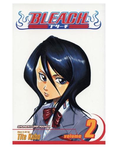 Okładka Bleach - tom 2 (eng.)
