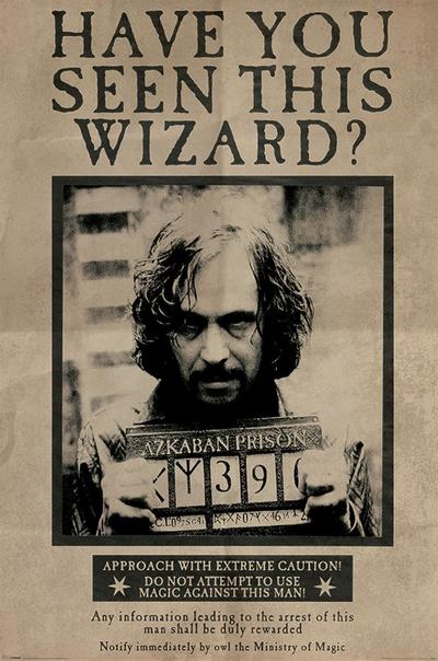 Plakat - Syriusz Black/Harry Potter (PP33681)