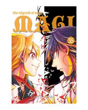 Magi: the labyrinth of magic - tom 35
