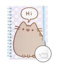 Pusheen - Notes v2