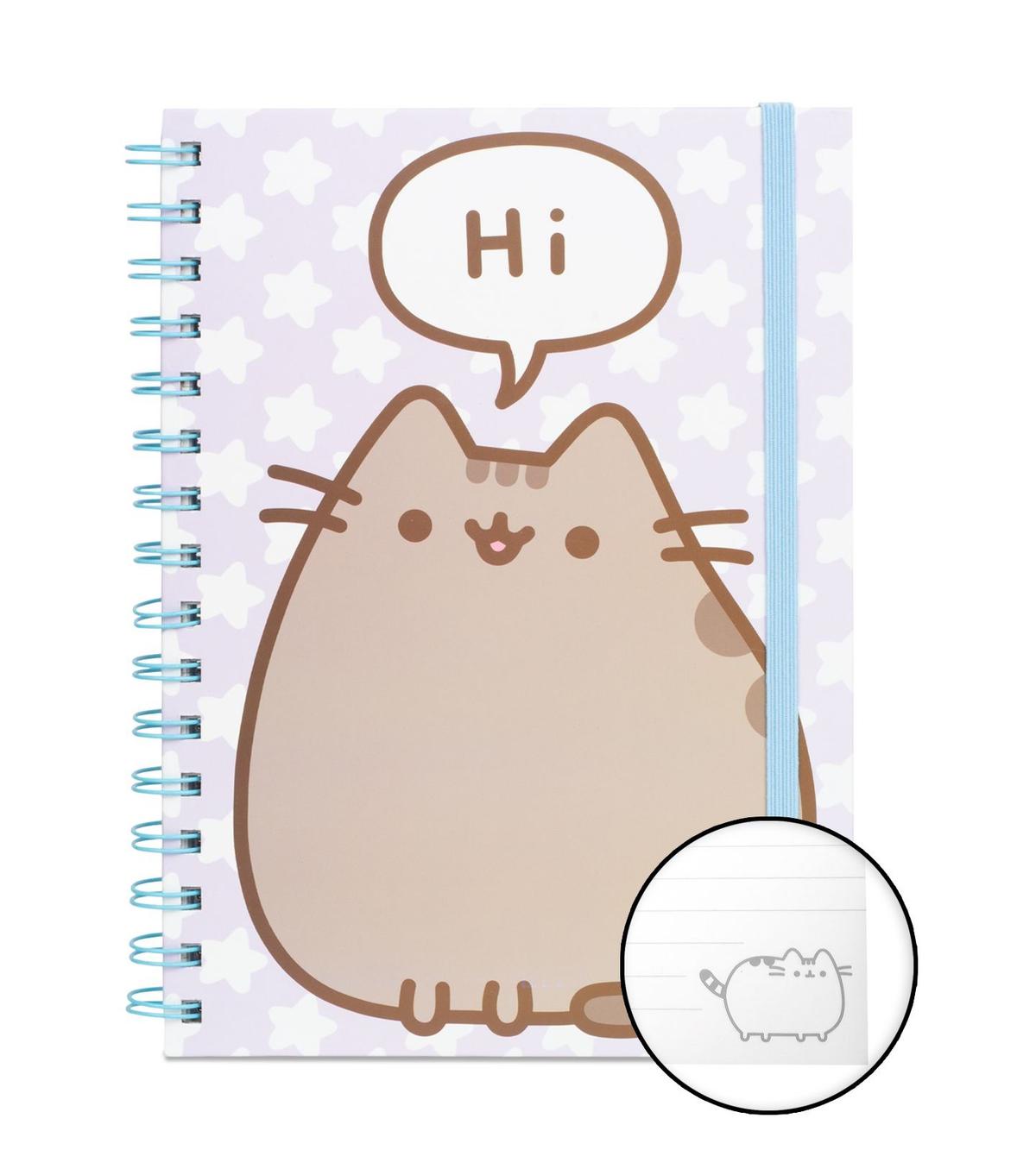 Pusheen - Notes v2