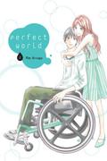 Okładka Perfect World - Tom 2