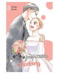 Okładka Sól z Pieprzem i Pudding - tom 3