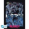 Plakat średni - BLEACH TYBW (Shinigami VS Quincy)