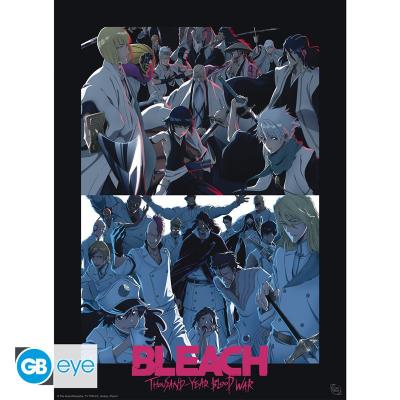 Plakat średni - BLEACH TYBW (Shinigami VS Quincy)