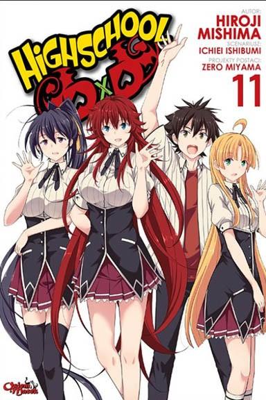 Okładka Highschool DxD - Tom 11