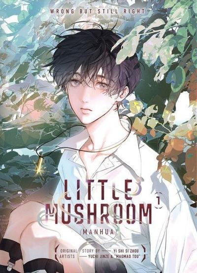 Little Mushroom - tom 1 (eng.)