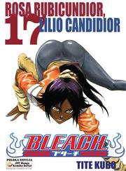 Manga Bleach - Tom 17