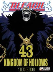 Manga Bleach - Tom 43