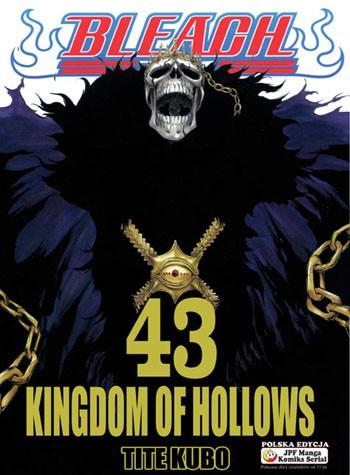Okładka Bleach - Tom 43