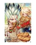 Okładka Dr. Stone - Tom 11