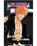 Okładka Bleach Souls (eng.) - Official Character Book