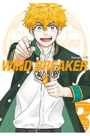Wind Breaker - tom 5